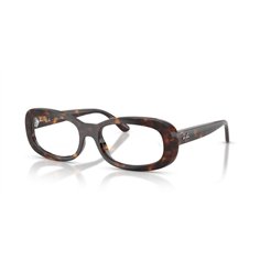 Ray-Ban RX2221V 2012