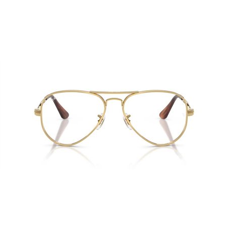 Ray-Ban AVIATOR MAX RX3925V 2500
