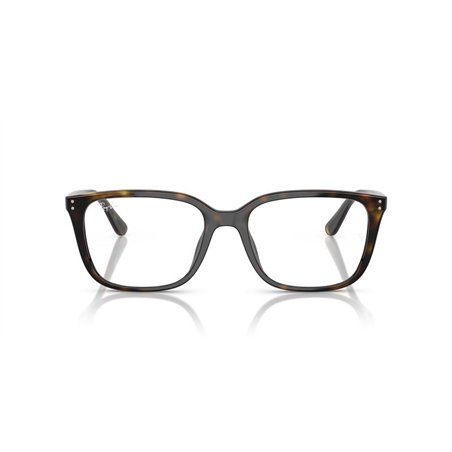 Ray-Ban RX7248D 2012