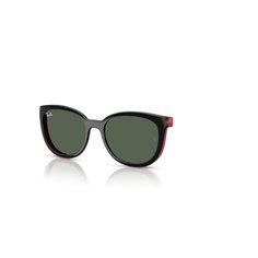 Ray-Ban Junior (Clip-On) RY1631C 392871