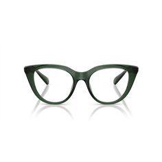 Swarovski SK2052 1043 2