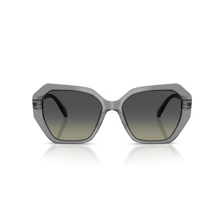 Swarovski SK6017 106211