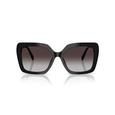 Swarovski SK6049 10018G 2