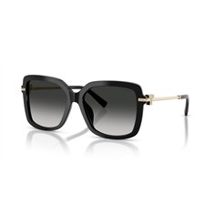 Tiffany TF4252B 80013C