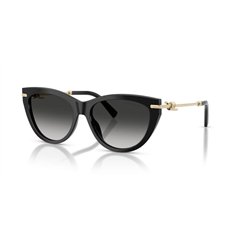 Tiffany TF4253 80013C