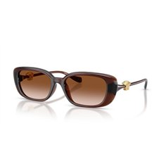 Versace VE4504D 533213