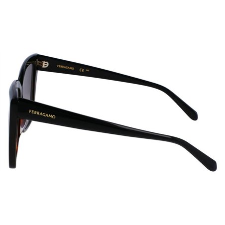 Salvatore Ferragamo SF1102S 006