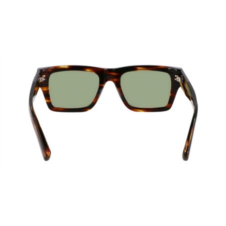 Salvatore Ferragamo SF2033S 216