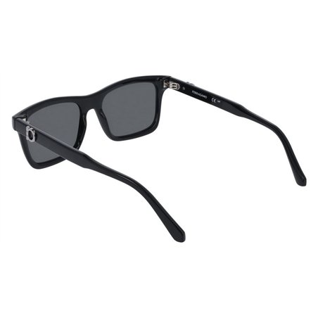 Salvatore Ferragamo SF2060SE 001