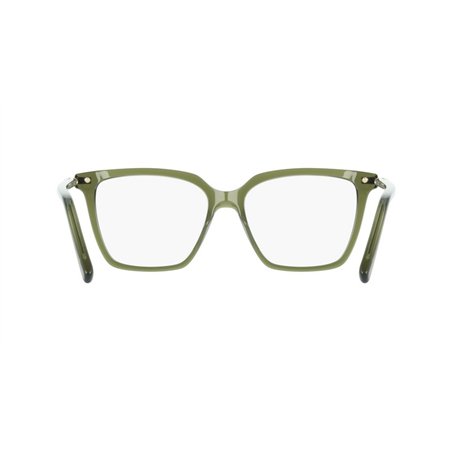 Salvatore Ferragamo SF3038 317