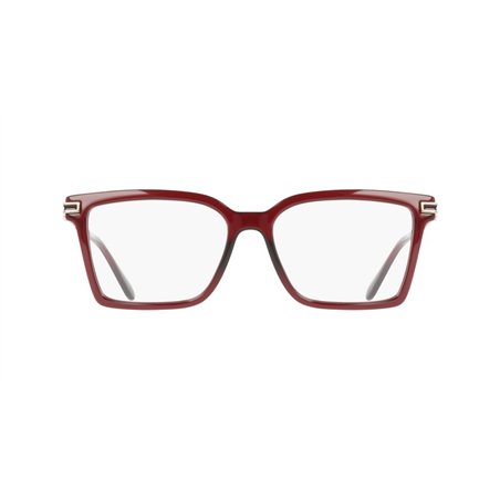 Salvatore Ferragamo SF3039 612