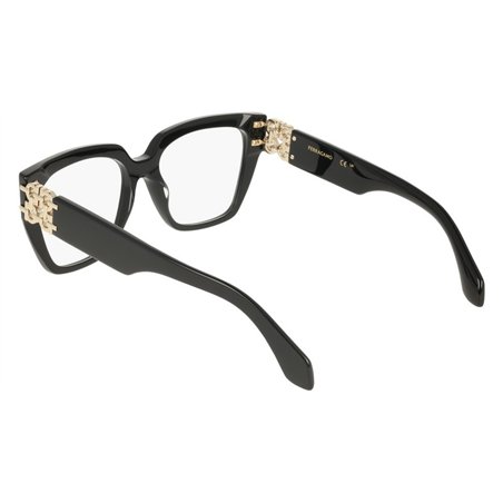 Salvatore Ferragamo SF3041E 001