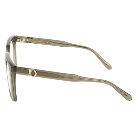 Salvatore Ferragamo SF3042E 320