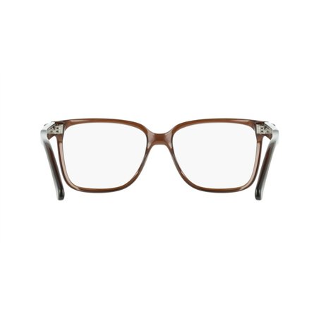 Salvatore Ferragamo SF3043E 232