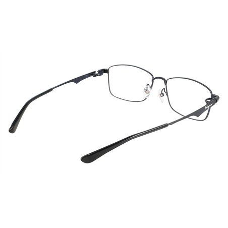 Salvatore Ferragamo SF9006 433