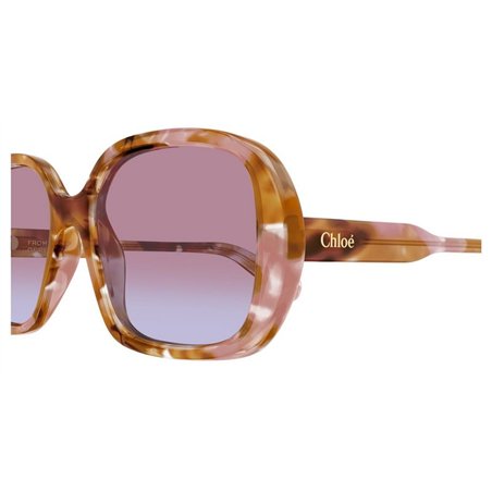 Chloé CH0222S 006