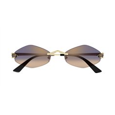 Cartier CT0433S 005 2