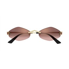 Cartier CT0433S 006 2