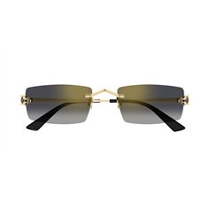 Cartier CT0598S 001 2